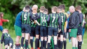 Limerick Desmond bow out of Kennedy Cup