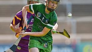 Limerick begin quest in All Ireland camogie championship