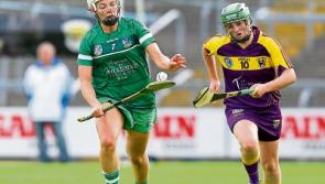 Clare next up for Limerick camogie