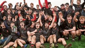 Quartet of Limerick colleges in Harty Cup