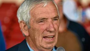 Search for new Limerick hurling manager not to begin until August