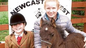 Tradition meets family fun at Newcastle West Agricultural Show