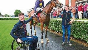 Double delight for rookie handler Robbie McNamara