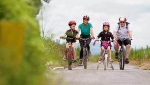 Limerick council sets out its stall on GST greenway