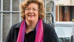 Senator denies claims over Limerick IT role