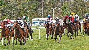 THE PUNTER'S EYE: Four horses worth a bet at Cork and Naas this weekend