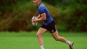 Fitzgerald duo called into Munster's squad