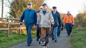 Multimillion euro windfall for West Limerick projects 
