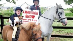 Limerick Show set fair for two great days this weekend