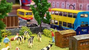 Exhibition of mini-displays in Limerick to attract large crowds