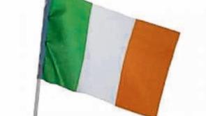 Flags and whistles confiscated at Limerick parade