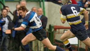 Reddan getting used to life after rugby