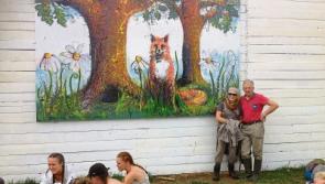 Buzz around Limerick artist after Electric Picnic showcase
