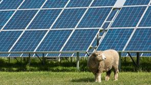 Solar farm planned despite Limerick's rainy reputation