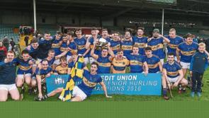 Patrickswell emphatic winners in Limerick SHC final over Ballybrown