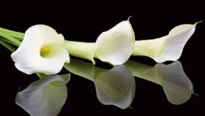 Recent deaths in Limerick