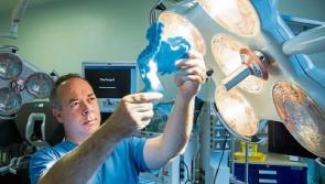 University of Limerick professor's groundbreaking research identifies new area of science