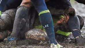 Young Munster and UL-Bohs record only Limerick AIL wins