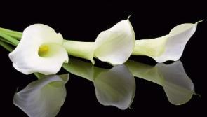Recent deaths in Limerick