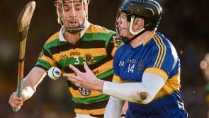 The 'Well and Monaleen have Munster club dreams shattered