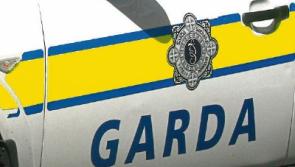 Gardai appeal for witnesses following Limerick fatal road crash