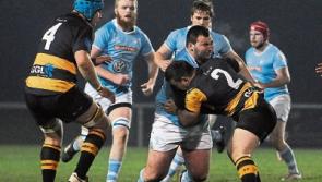 Limerick clubs chase early festive cheer in All-Ireland League