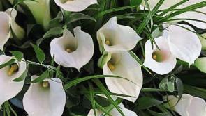 Deaths in Limerick - December 2, 2016