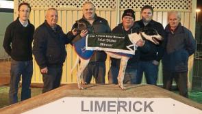 Limerick-owned greyhound worth €1m stolen in 'Shergar' style theft