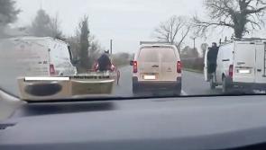 Limerick council moves to ban sulky races on local roads