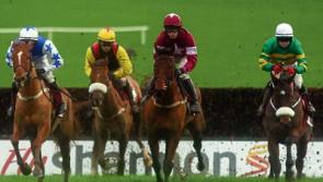 Under starter's orders for Limerick Christmas Racing bonanza