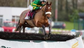 14,000 racegoers attend St Stephen's Day fixture at Limerick Racecourse 