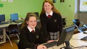 Limerick schools shine again as Young Scientist competition looms