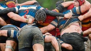 Limerick Rugby Fixtures - January 5 to 12