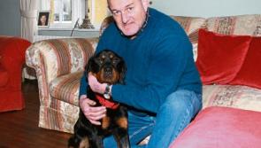 'It is quite an incredible story': Peter Clohessy's dog is returned to Limerick