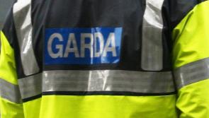 Limerick man dies following mountain bike accident