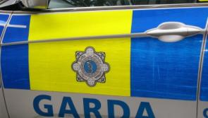 Guns and accessories found on lands near Limerick village