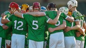 36-man panel for Limerick's Allianz Hurling League campaign