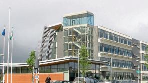 Limerick residents rooted in treehouse dispute