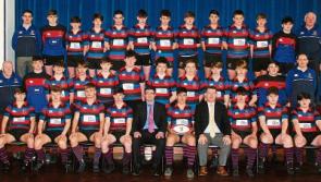 St Munchin's coach says players were 'not in a safe psychological state' to return to pitch