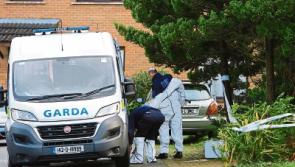 Man's body remained inside house in Limerick 'for several days' after killing