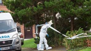 Blood stains found throughout house in Limerick estate following killing