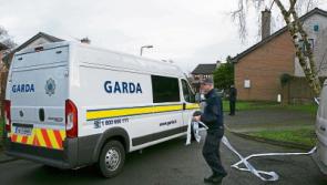 Trial of woman accused of murdering housemate at Castletroy home nears its conclusion