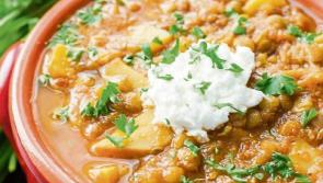 It's time to really veg out!