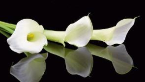 Deaths in Limerick - February 23, 2017