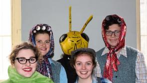 Limerick Youth Theatre play's 'unique style' is a winner