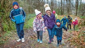 Get Involved in walking in West Limerick