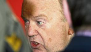 Report finds Michael Noonan was lobbied by foster parents of 'Grace' 