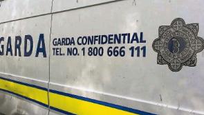 Shock as handgun is produced at 21st party in county Limerick
