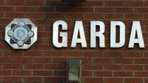 Criminals flee as Limerick man, 93, fires shotgun 