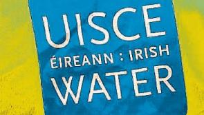 Irish Water prosecuted over delay in upgrading water treatment plant in Limerick village